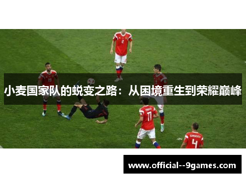 小麦国家队的蜕变之路：从困境重生到荣耀巅峰